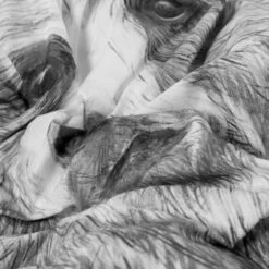 Housse De Couette Enfant Réversible Percale De Coton Grizzli -feuille Soldes Magasin housse de couette enfant reversible percale de coton grizzli 2