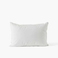 Oreiller Rectangulaire Moelleux Duvet De Canard Neige